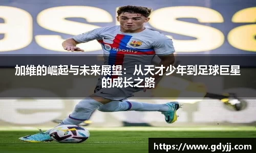 evo视讯网址